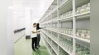 筑牢种业发展根基　肃州这样激活“芯”动能