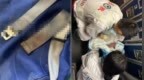 16岁女孩飞机上产下婴儿，多方回应