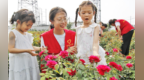丰县：青春力量护航幼苗成长 多彩暑期绘就振兴景象