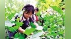 课堂搬到田间地头　“土味”研学让肃州娃get满分快乐