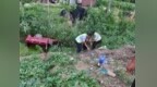 老人坠河沟电三轮压住身体，幸亏被他们发现……