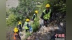 暖“心”闻：高温下的坚守：秦巴山脉中的“扫山奇兵”