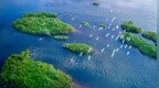 8月1日起施行！事关国土空间专项规划，浙江出台管理办法