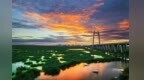 期待！和李荣浩、朴树、张远一起奔赴油城夏日
