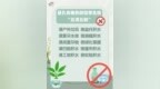 佛山累计确诊超3000例！基孔肯雅热防控问答来了