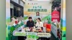 徐州鼓楼：高质量履职助力农产品搭上“数字快车”