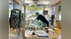 超 88% 危重症抢救成功率背后：佛山市一医院 <em>ICU</em> 的技术与温度密码