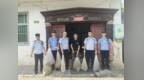 非法猎捕41条王锦蛇，蛇卵69颗，男子被黄山警方刑拘！