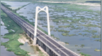 守护生态美！龙凤湿地构建野生动物保护体系