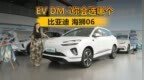 <em>EV</em> DM-i你会选哪个 ？比亚迪海狮06