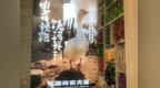 饶河：电商大集开锣 奏响乡村振兴“数字强音”