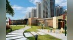 荒地→活力空间！新会建筑业企业，“百千万工程”的“超级合伙人”！