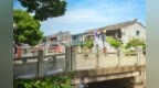 高温出逃计划：躲进镇海600年古村，找回被稻香蝉鸣填满的夏天