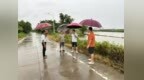 海丰可塘： 倾盆雨急“汛” 速动，一线党员 “擎” 伞行