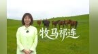 两千年前霍去病是首任场长　世界最古老马场如今咋样了