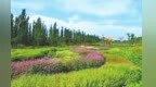 山水画卷中的金川峡