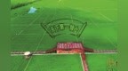 榆树大米：品牌建设跑出“加速度”