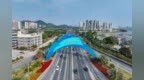 力争3年内引进5万名大学生，广州南沙成青年人才集聚新高地