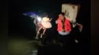 陆丰干群共筑防汛“安全堤”