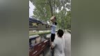 暖“心”闻：“折翅”红隼“求助”面摊 警民携手救助护平安