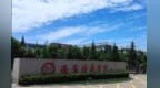暖“心”闻：“00后”大学生街头施救发病老人