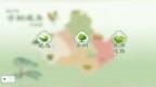 古树观鸟“宝藏图鉴”，带您指尖出发！解码年轮密码，捕捉飞鸟轨迹～