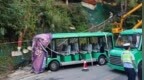 观光车刹车失灵致游客受伤，景区：正调查处置