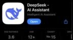 DeepSeek <em>App</em>更新！支持对话内容生成分享图
