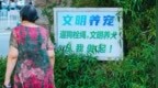 烈犬咬死路人“与主人无关”？如此辩解无知又冷血