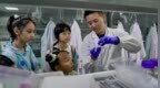 全国生态日：珠海开展水科学探索研学之旅