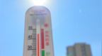三伏天补水避坑指南：只喝白水可能加重脱水 科学补水要兼顾这三点
