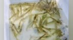 探索“海鲜陆养”新模式 南美白对虾在宝清“安家”