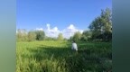 资助政策送“家门”！郑州软件职业技术学院开展2025级新生精准家访活动