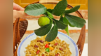 狗果美食节启幕：南海菜以千年智慧，添彩中华饮食文明