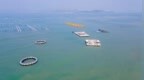 “向海图强”新实践！汕尾市城区耕海牧渔，打造粤海粮仓汕尾样板