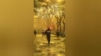 猛兽“剑鱼”没把三亚拍在沙滩上？零伤亡？