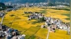 政能亮丨县域“强基”，把好钢用在“刀刃”上
