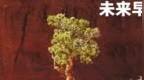 早报｜苹果首席机器人研究员被 Meta 挖走/iPhone 17 Ai r国行有望支持 eSIM/微信撤回聊天发 <em>Live</em> 图功能灰测