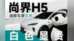 熊猫配色！尚界H5成都车展首秀！