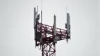 国家打造“宽带林草”：90％都要通上4G/5G