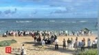 送文昌海豹“阿侬”回家