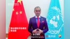 联合国系统驻华协调员常启德：当女性崛起时，所有人都会蓬勃发展