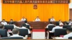 万宁市人大常委会会议决定叶厉豪为万宁市人民政府代理市长