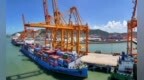 “蛟龙行动” 浙江启动外贸龙头企业培育工作