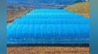 小天麻变身金疙瘩　甘肃华亭这个镇靠它一棚增收8万