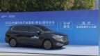 一路畅行！上汽大众威然成为2025泰达汽车论坛<em>VIP</em>用车
