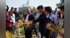 金秋庆丰收 匠心铸国米  乔府大院第十届开镰节在五常成功举办