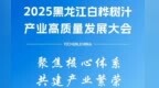 倒计时1天｜2025黑龙江白桦树汁产业高质量发展大会即将在伊春市召开