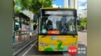 全国公交出行宣传周期间，海口开展免费乘车、打造敬老爱老公交专线等惠民活动