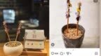 精致餐饮“抄袭门”，谁来界定原创的边界？